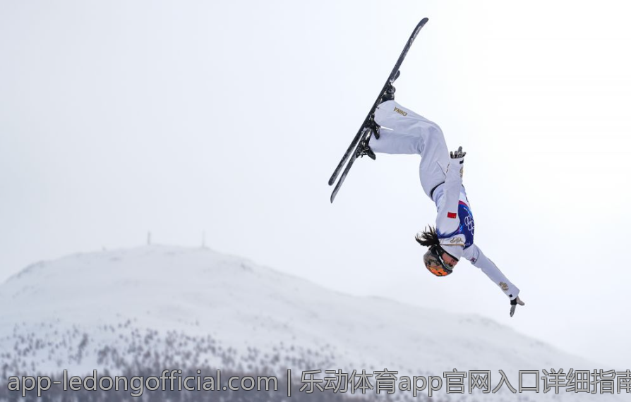 乐动体育app官网入口详细指南与下载方法