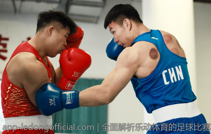 全面解析乐动体育的足球比赛攻略